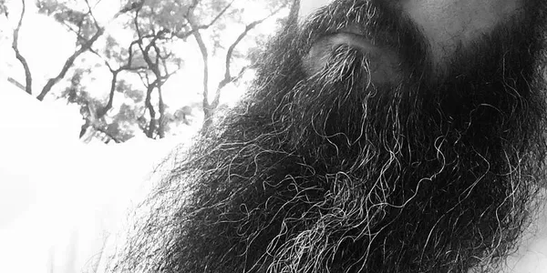 Entrevista a David Soares — «O horror é a consciência do século XX»